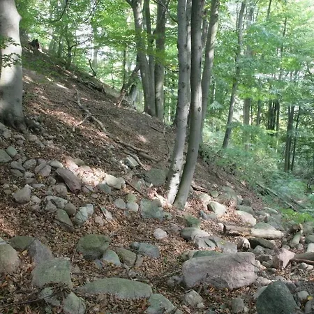 Falkenberg's 아파트 *